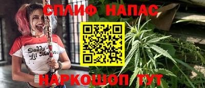 apvp Севастополь