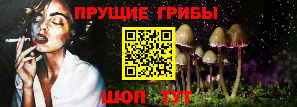 Саранск  Псилоцибиновые грибы MAGIC MUSHROOMS  Вход с VPN 